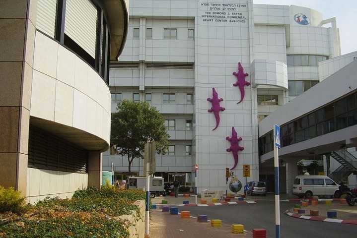 800px-PikiWiki_Israel_15622_Safra_Children_Hospital_in_Sheba_Medical_Center.JPG