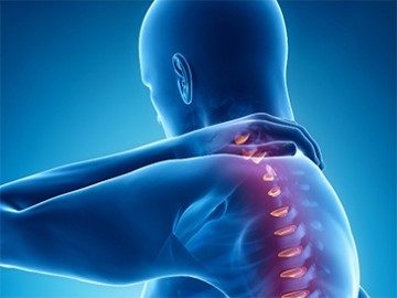 spine1.jpg Протокол ЭКО